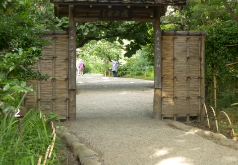 開催中止 向島百花園 萩まつりの見頃は 混雑や駐車場も ツクの日々