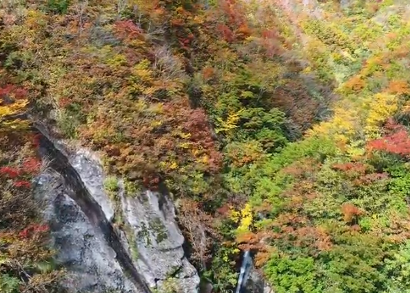 白山白川郷ホワイトロードの紅葉の見頃は 混雑状況や駐車場も ツクの日々