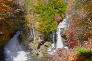 袋田の滝の紅葉21の見頃とライトアップは 混雑や駐車場も ツクの日々