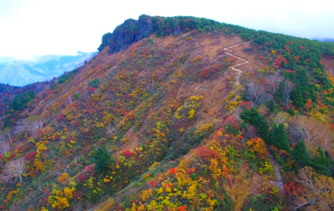 白山白川郷ホワイトロードの紅葉2025の見頃は？混雑状況や駐車場も