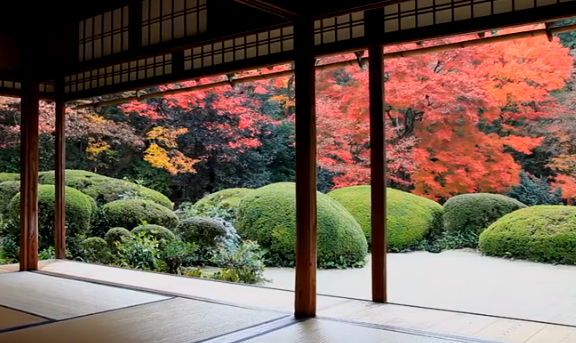 京都詩仙堂の紅葉2025の見頃は？混雑状況や駐車場も！