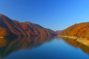 九頭竜湖の紅葉21の見頃はいつ 混雑状況や駐車場も ツクの日々