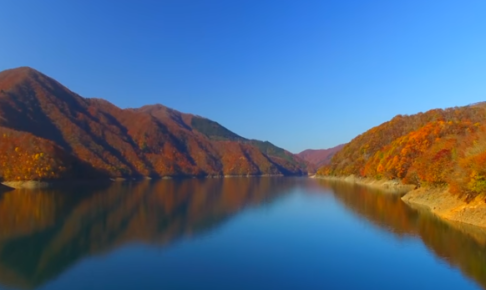 九頭竜湖の紅葉21の見頃はいつ 混雑状況や駐車場も ツクの世界