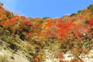 袋田の滝の紅葉21の見頃とライトアップは 混雑や駐車場も ツクの日々