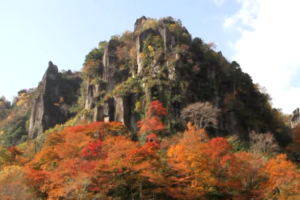 高野山金剛峯寺の紅葉21の見頃とライトアップは 混雑はどう ツクの日々