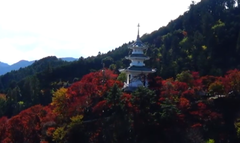 鳥居観音の紅葉の見頃はいつ 混雑状況や駐車場も ツクの日々