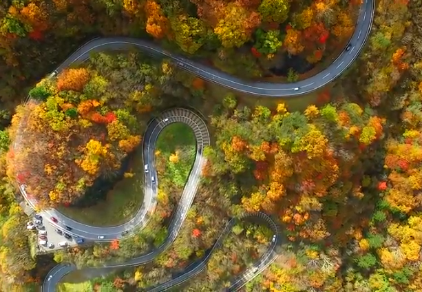 日光いろは坂紅葉2025｜見頃と混雑・駐車対策ガイド