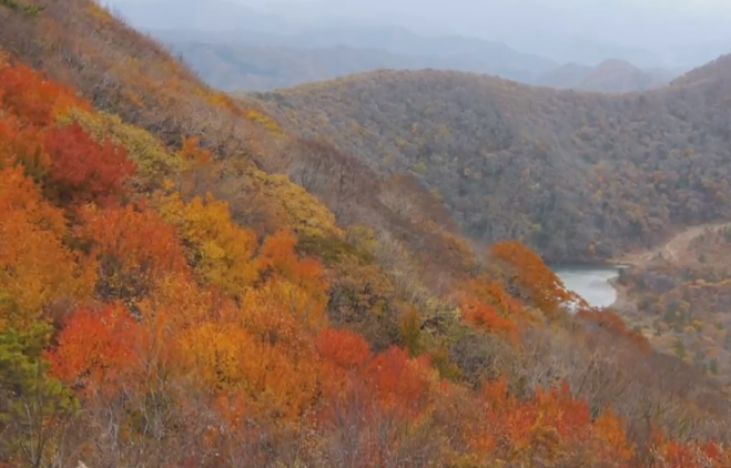 三瓶山の紅葉2025｜見頃・混雑・駐車場完全ガイド
