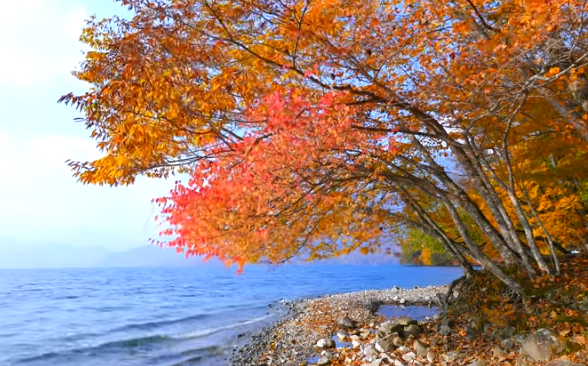 日光中禅寺湖紅葉2025｜見頃と混雑・駐車場ガイド