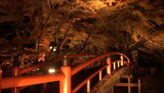 伊香保温泉河鹿橋の紅葉2025｜見頃とライトアップ・混雑徹底ガイド