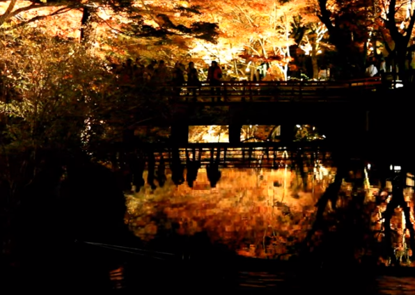 岩屋堂公園の紅葉2025｜見頃・ライトアップ・混雑対策