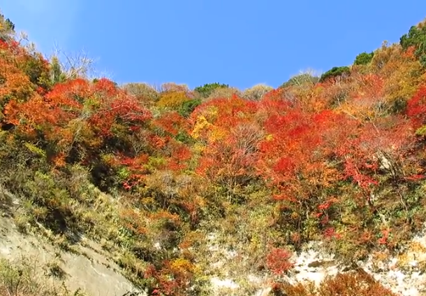 梅ヶ瀬渓谷の紅葉2025の見頃は？混雑や駐車場も！