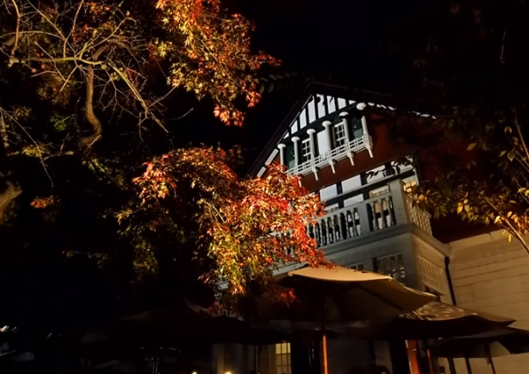 江戸東京たてもの園の紅葉2025｜見頃・ライトアップ・混雑ガイド 導入文