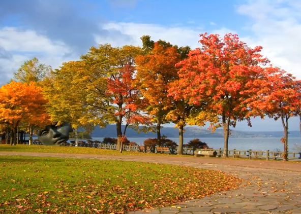 北海道洞爺湖の紅葉2025の見頃は？混雑や駐車場・絶景スポットも！