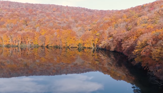 蔦沼の紅葉2025｜見頃・遊歩道・混雑・駐車場ガイド