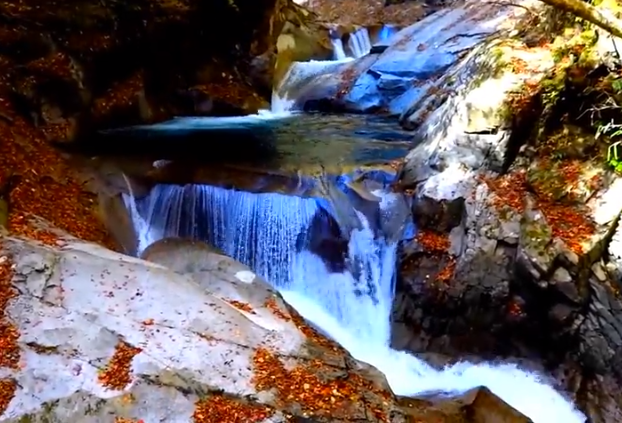 山梨西沢渓谷の紅葉2025｜見頃と混雑・駐車場