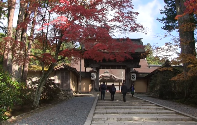 高野山金剛峯寺の紅葉2025の見頃とライトアップ｜混雑回避のコツ！