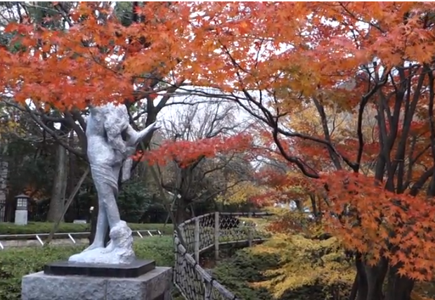 飛鳥山公園の紅葉2025｜見頃・混雑・駐車場ガイド
