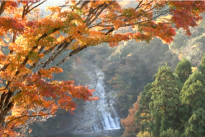 静岡寸又峡の紅葉の見頃はいつ 混雑状況や駐車場も ツクの日々