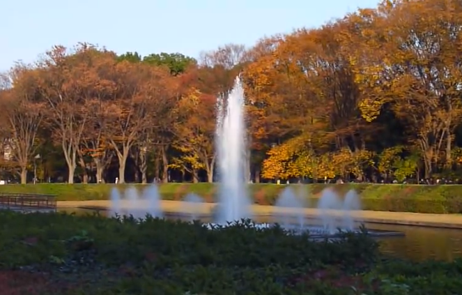 上野公園の紅葉2025｜見頃・見所・駐車場・混雑ガイド