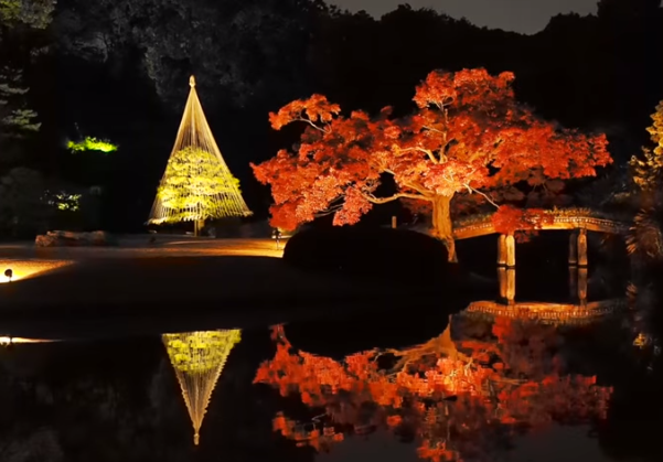 2025年 六義園の紅葉｜見頃・混雑・ライトアップ・駐車場ガイド