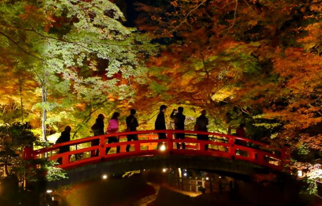 2025年 北野天満宮の紅葉｜見頃・ライトアップ・混雑・駐車場ガイド