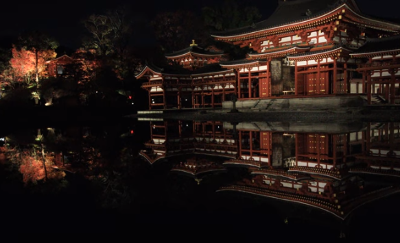 2025年 平等院の紅葉｜見頃・ライトアップ・混雑・駐車場ガイド