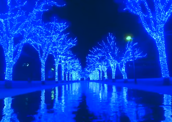 青の洞窟のルートや混雑具合は？ 渋谷の雑踏が深海の異空間