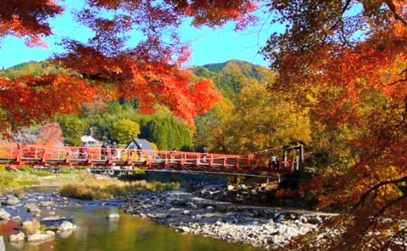 2025年 香嵐渓の紅葉｜見頃・混雑・ライトアップ徹底ガイド