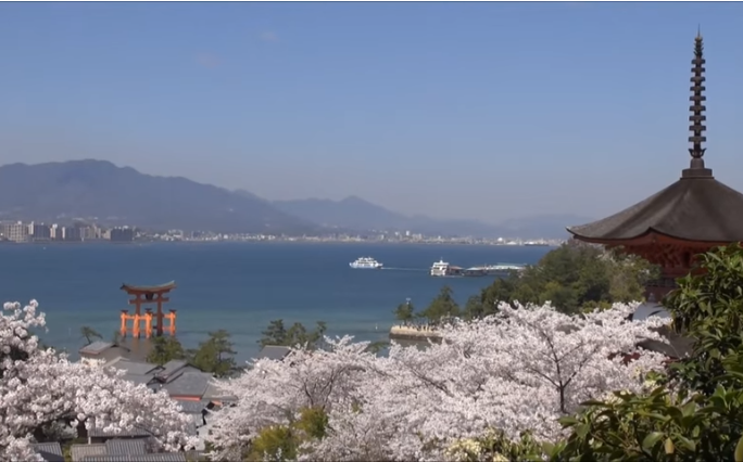 【2025年版】宮島の桜｜見頃・絶景スポット・アクセス・混雑対策
