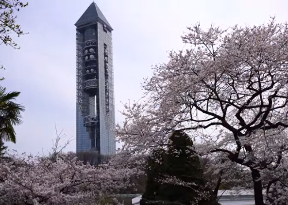 2025年 東山動植物園の桜｜見頃・混雑・楽しみ方ガイド