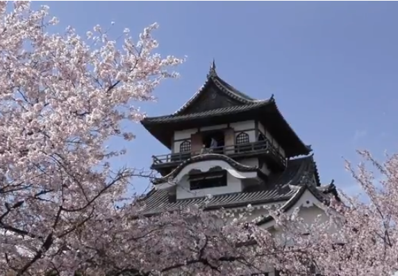 【2025年版】犬山城と桜｜見頃・木曽川沿いの絶景・屋台情報