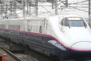 浅草花やしき の混雑や待ち時間は 近くの駐車場は ツクの世界