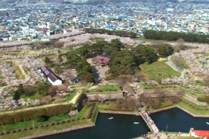 浅草花やしきの混雑や待ち時間は 近くの駐車場は ツクの日々