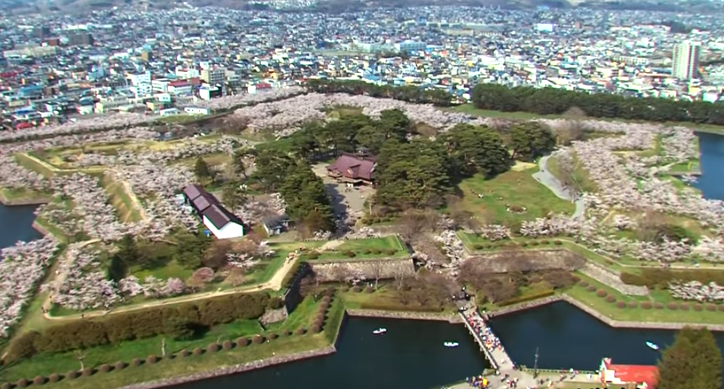 【2025年版】五稜郭公園の桜｜見頃・星形の桜絶景とタワー展望