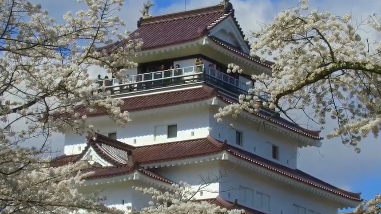 【2025年版】鶴ヶ城の桜｜見頃・白い天守と夜桜ライトアップ