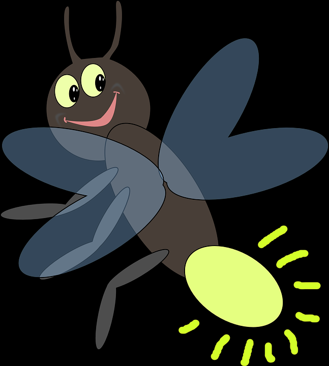 船橋運動公園のホタル2019の鑑賞会はいつ？口コミや評判は？