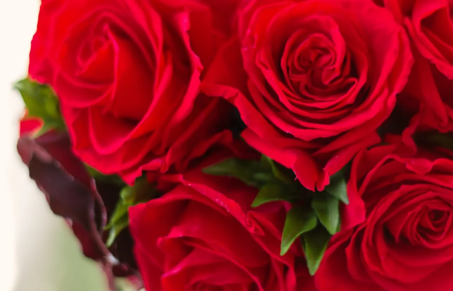 【趣味がなくても喜ばれる】母の日プレゼント＆実用的ギフト8選